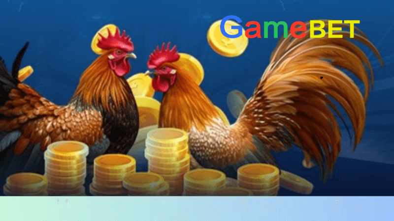 Hướng Dẫn Vô Mồi Cho Gà Tại Gamebet