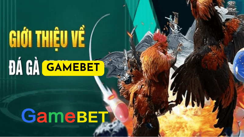 Xem Đá Gà Online Tại Gamebet Có Bị Xử Phạt Không?